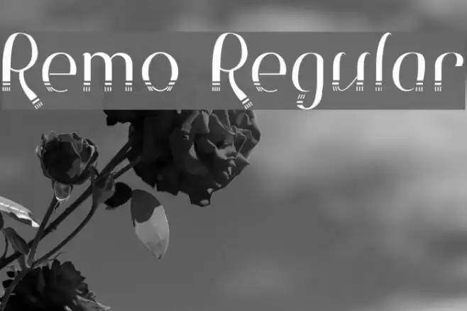 Remo Regular Font examples