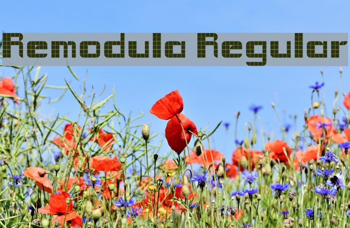 Remodula Regular Example 3