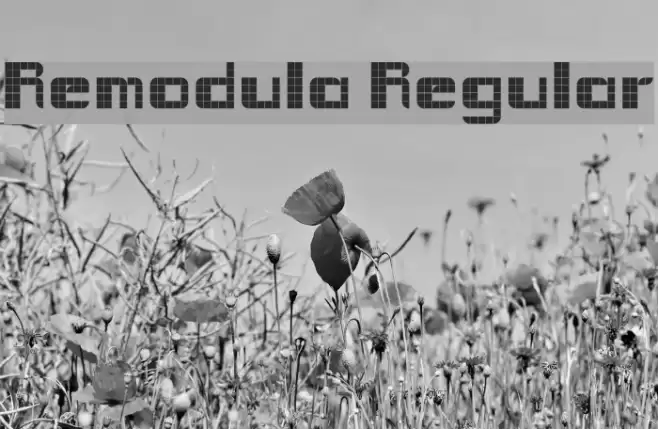 Remodula Regular Font examples
