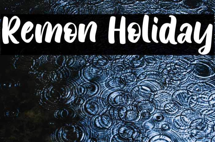 Remon Holiday Example 1