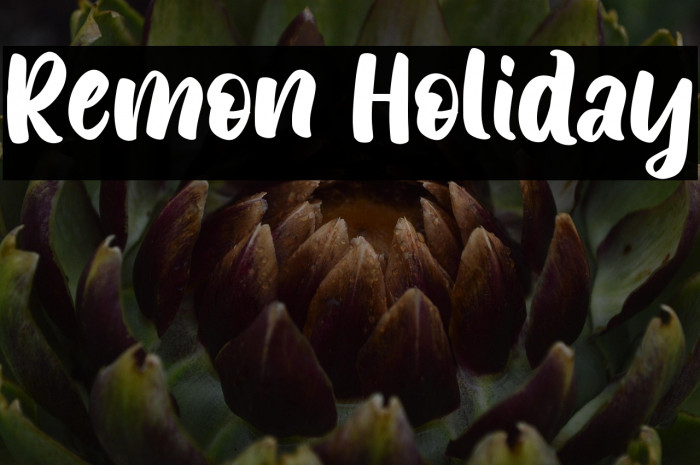 Remon Holiday Example 2