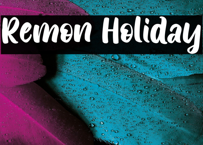 Remon Holiday Example 3