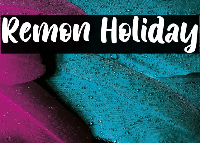 Remon Holiday Example 3