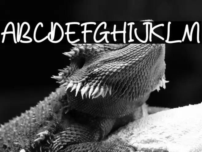 Remonade Шрифта examples