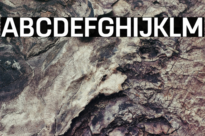 RemoveDEMO-Bold Example 1