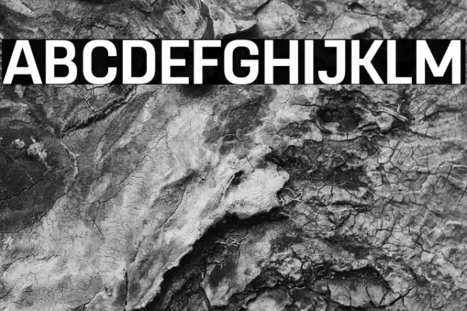 RemoveDEMO-Bold Font examples