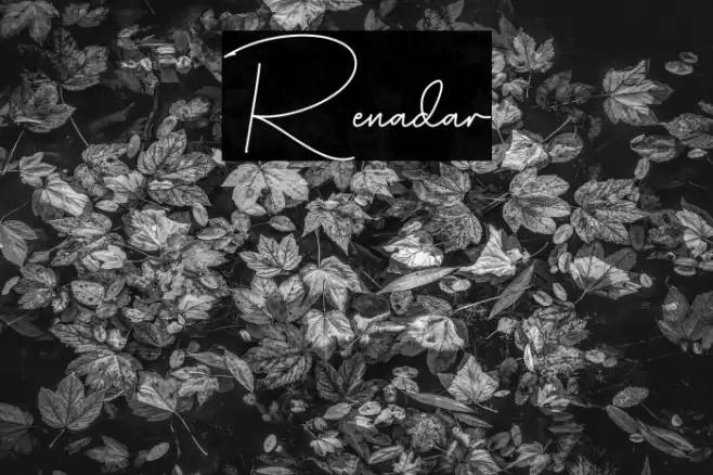 Renadar Font examples