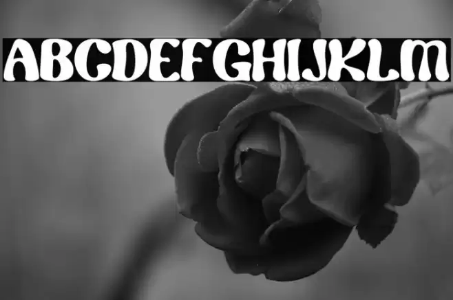 Renaf Regular フォント examples