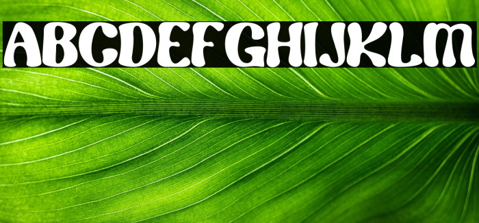 Renaf Regular Example 3