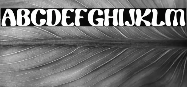 Renaf Regular フォント examples