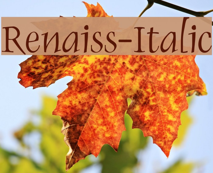 Renaiss-Italic Font examples