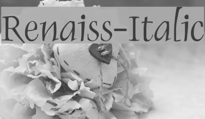 Renaiss-Italic Font examples