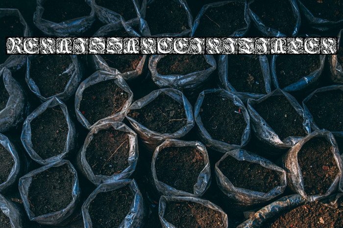 Renaissance-Initialen Example 1