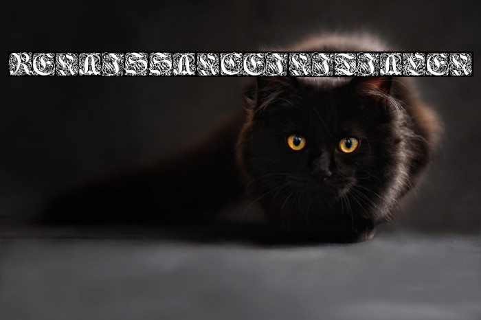 Renaissance-Initialen Example 2