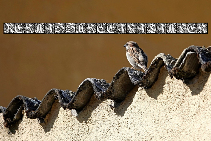 Renaissance-Initialen Example 3