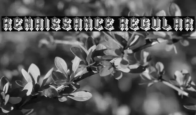 Renaissance Regular Font examples