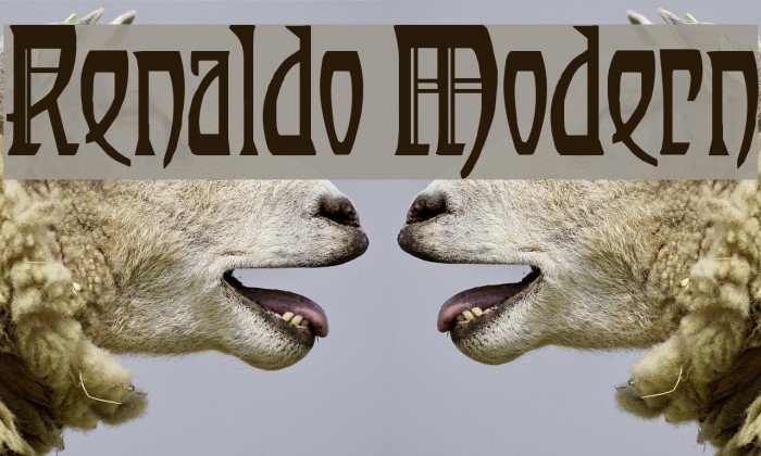 Renaldo Modern Example 2