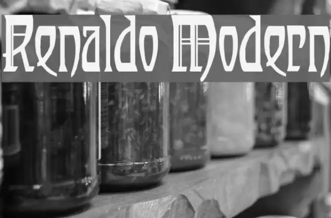 Renaldo Modern Font examples