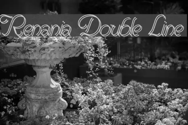 Renania Double Line Font examples