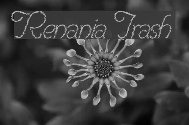Renania Trash Font examples