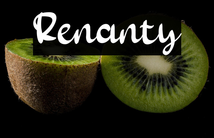 Renanty Example 1