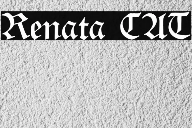 Renata CAT Font examples