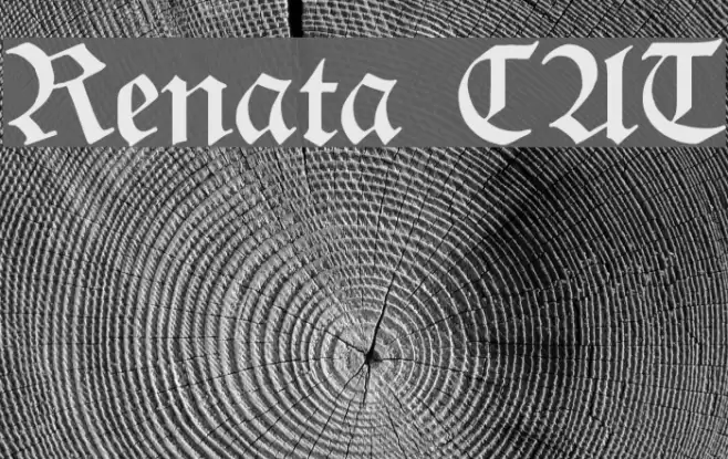 Renata CAT Font examples