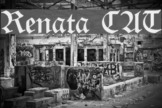 Renata CAT Font examples