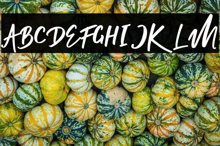 Renata-Regular Example 2