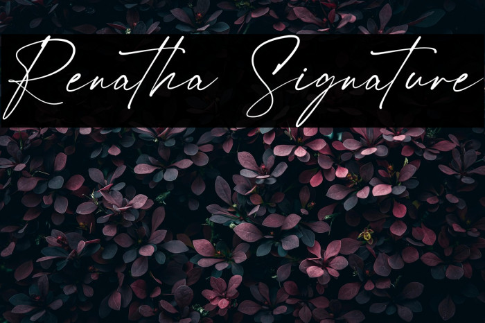 Renatha Signature Example 1