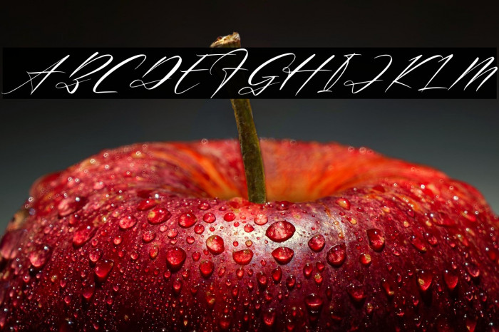 Renathalia Signature Italic Example 1