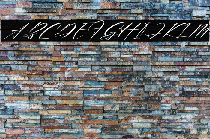 Renathalia Signature Italic Example 3