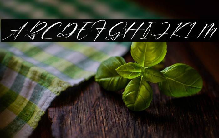 Renathalia Signature Example 1