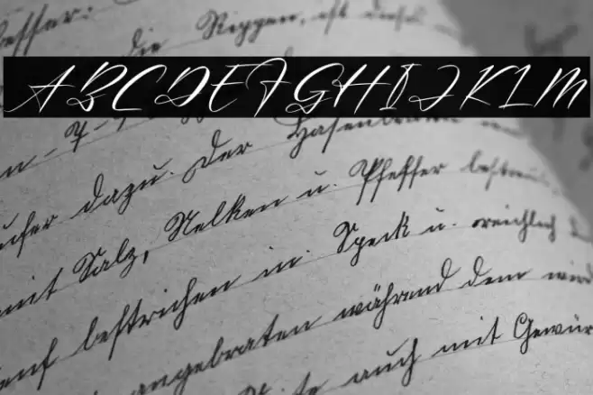 Renathalia Signature Font examples