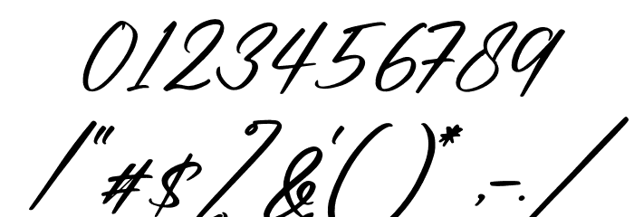 Renatta Signature Italic Font OTHER CHARS