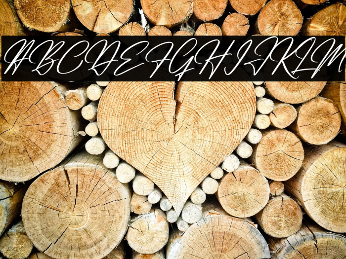 Renatta Signature Italic Example 1