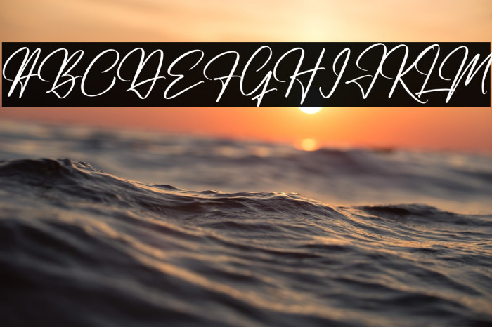 Renatta Signature Example 1