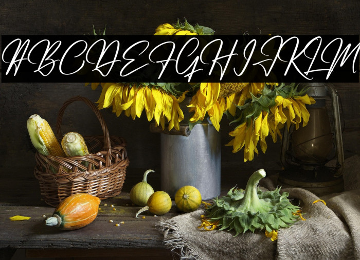 Renatta Signature Example 3