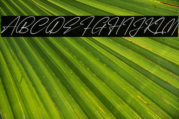 Renattha Signate Italic Example 1