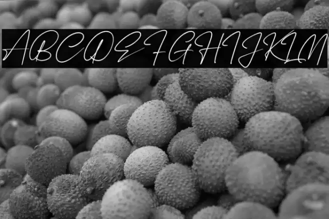 Renattha Signate Font examples