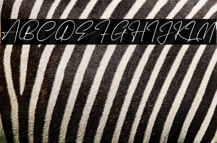 Renattha Signate Example 2