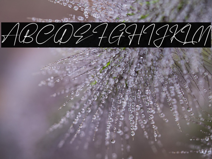 Renattha Signate Example 3