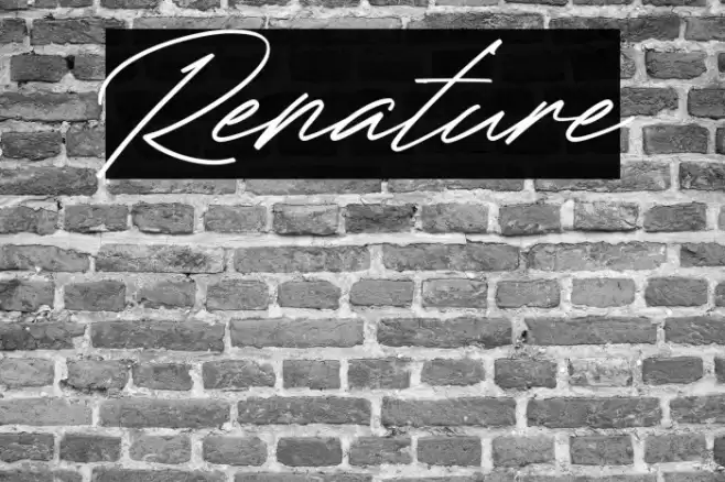 Renature Font examples
