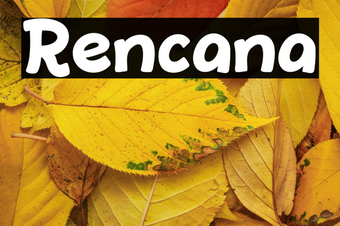 Rencana Example 2