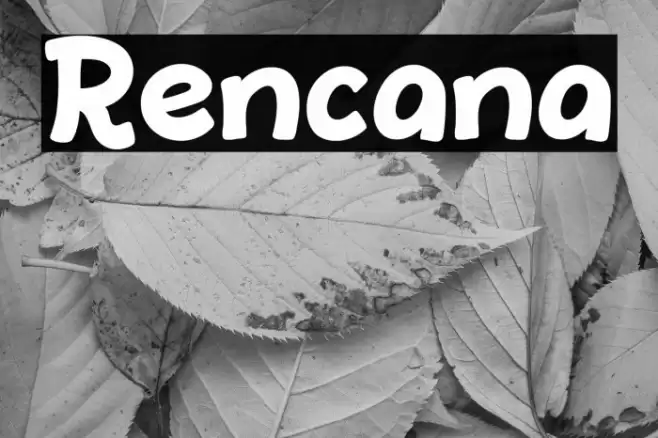 Rencana Font examples