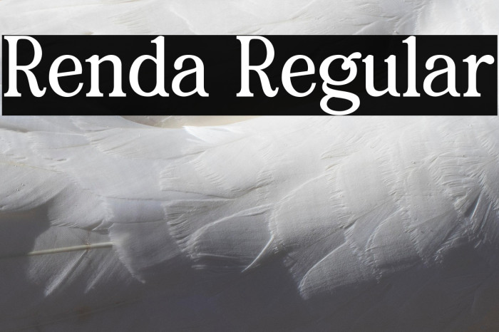 Renda Regular Example 1