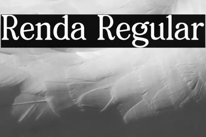 Renda Regular Font examples