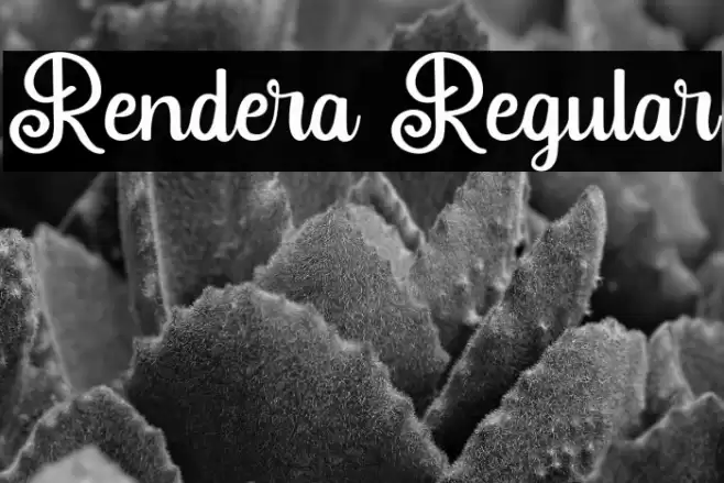 Rendera Regular Font examples