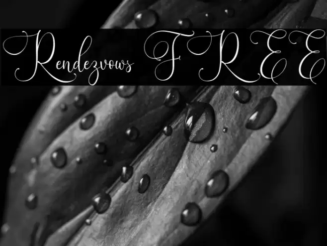 Rendezvows FREE Font examples