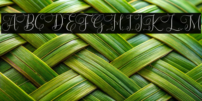 RendezvowsFREE Example 3